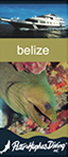 Belize Trade Show Display Liz von Achen