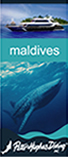 Maldives Display