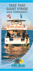 Pro Dive Brochure