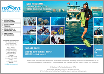 Pro Dive Web Site